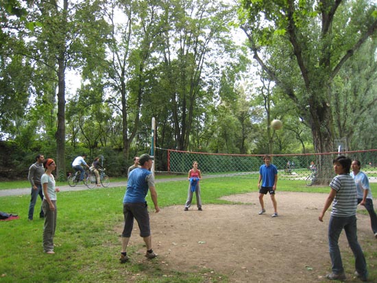 sports 6