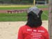 sports 4d